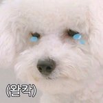 [EXO] ㅅㅂ 뮤환됴젼 때 세훈이가 입은 옷 아는 사람