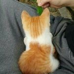 [공판] 예비 중2인데요