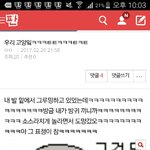 <b>동물</b>학대 소름;;(<b>혐오</b>짤X)