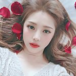 [댓글부탁해] 챈스챈스 <b>후집</b> 있는사람