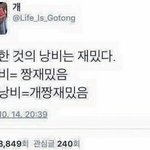 나 많이 뚱뚱한거임?