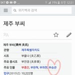 [세븐틴] ㅅㄷ? <b>제주</b>부씨의 자랑 부승관ㅠㅠㅠ