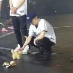 [시우민] 강아지 슈냥이, <b>인형</b>끼리는 통하나봐