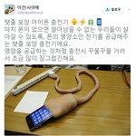 <b>탯줄</b>충전기래....ㅋㅋ(약혐)