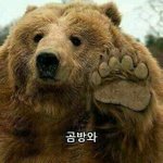 [드루와] 얘들아 후드집업 예쁜곳 추천좀