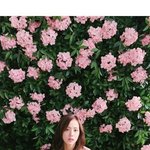 명예의 <b>전당</b> 사라짐?