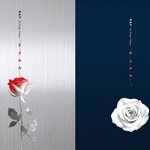 [BAP] 로즈 커버 두가지 <b>ver</b>.