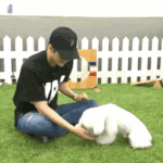 [EXO] 렬리티하면 반려<b>동물</b>들도 나와주면 좋겠다