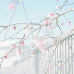 [19] 완전 신기한 꿈 꿨엉!!