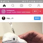 [댓글부탁해] 나이거 <b>양</b><b>홍원</b>인줄
