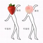 [댓글부탁해] <b>과즙상</b>이 어떻게 생긴거야??