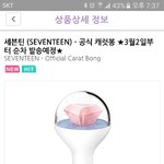 [세븐틴] 떴다