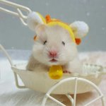 오 방금 뭔가 <b>뿌듯</b>했어