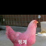 야 아까 아침엨ㅋㅋㅋㅋㅋㅋ