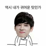 [세븐틴] 잇자나 팬톡 <b>캐럿</b>들