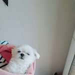 극혐)<b>미방</b> 있음)근접주의) 너넨 하루 머리 안감으면