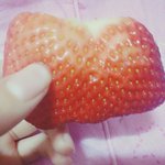 [드루와] 아 딸기먹다가 놀라서 <b>뒤질</b>뻔함