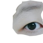 <b>눈썹</b> <b>정리</b> 어떻게 해야 돼?