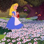 바보들아ㅡ <b>약이</b>올라 ?