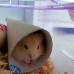 초딩 때 웃겼던 썰이씀ㅋㅋㅋㅋㅋ