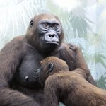 [19] 가.슴 빠는 야쨜 뿌린다..<b>영자</b>야 일좀
