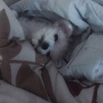 <b>치명적</b>인_눈빛의_그녀 .jpg