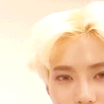 [EXO] 와 축하해 줘라