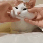 [드루와] 얘들아 <b>동네학원</b> 괜차나?