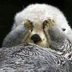 반배<b>정개</b>망함 ㅠㅠㅠㅠㅠ