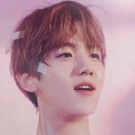 [EXO] 2년동안반동안여기안들어온다