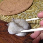 [드루와] <b>동네학원</b> 괜찮음?추반좀