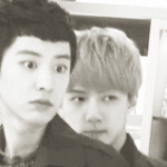 [EXO] <b>밤톨</b> 찬열
