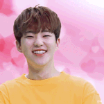 [세븐틴] 캐로<b>시들</b> 세봉잇자나