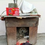 주인의 이사문제로 개소주집에 팔릴 운명에 처했던 <b>믹스</b>견 세종이.