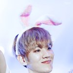 [EXO] 너무 사랑스럽다
