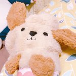 ㅎㅎㅎ내 <b>담요</b> 귀엽징