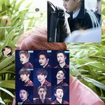 [EXO] 애들아 구걸끝에 드디어 친구 <b>입덕부정</b>을 벗김