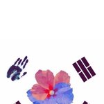 [인피니트] 상식퀴즈