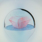 [세븐틴] ㅋㄹㅂ 모두들 이 아름다운 <b>자태</b>를 봐