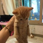 <b>증사</b>혼자찍으면눈치주려나ㅠㅠ