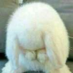 고딩인데 <b>야자</b>신청을 안했어