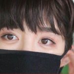 [세븐틴] 플디가