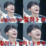 [세븐틴] 플디가 아마