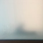 [드루와] 야 시;발 우리<b>집</b> <b>창문</b>에 비둘기 있음;