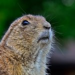 [EXO] 난 ㅅㅂ 친한선배가