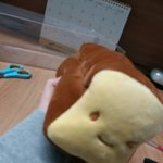 다들 <b>필통</b>뭐샀어? 보여주랑