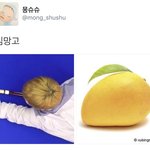 [시우민] 시우민 김딸기에 <b>이은</b> 김망고썰ㅋㅋ