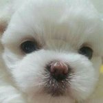 [드루와] 그 짤에 좋아하는 사람 <b>대입</b>시키는거말야