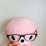 [댓글부탁해] 얘<b>드랑</b>소개한다 인사해 무너