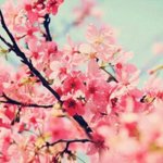 교복에 와<b>인색</b> 양털후집 많이 별로야?